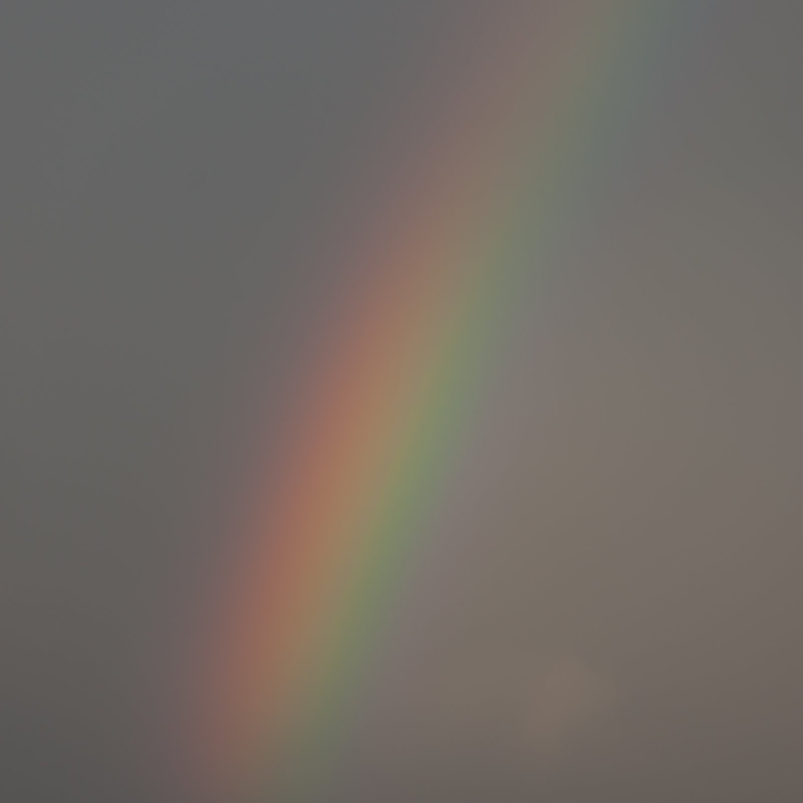 <i>Dark Rainbow</i>, Brooklyn, 2012
