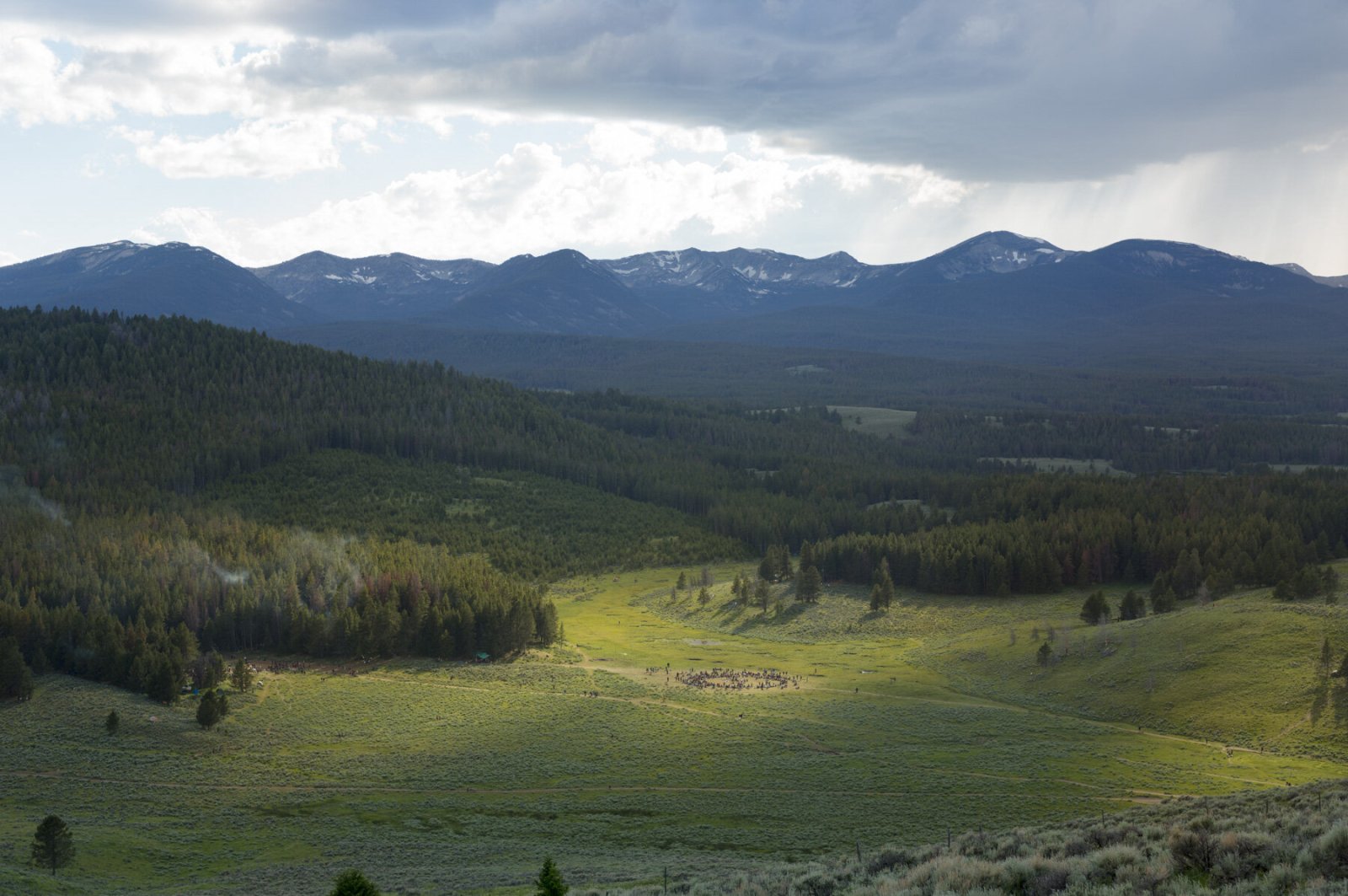 <i>The Gathering</i>, 2014