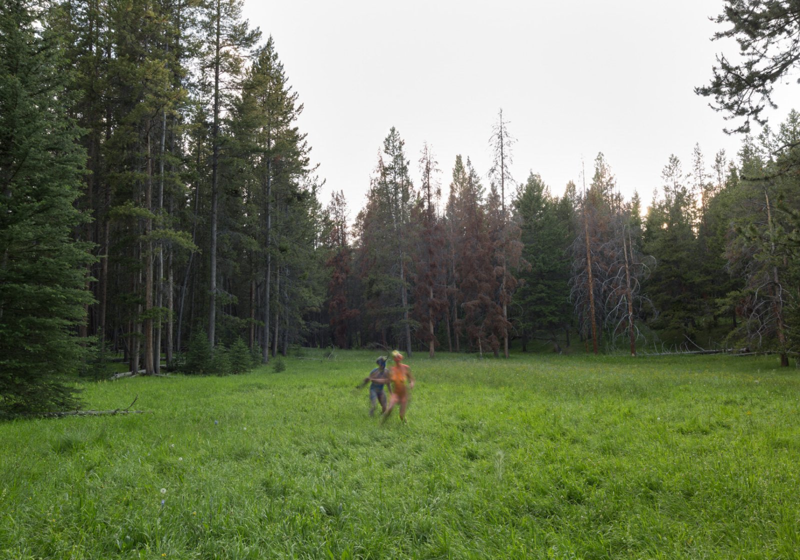 <i>Satyrs and Fairies</i>, 2014