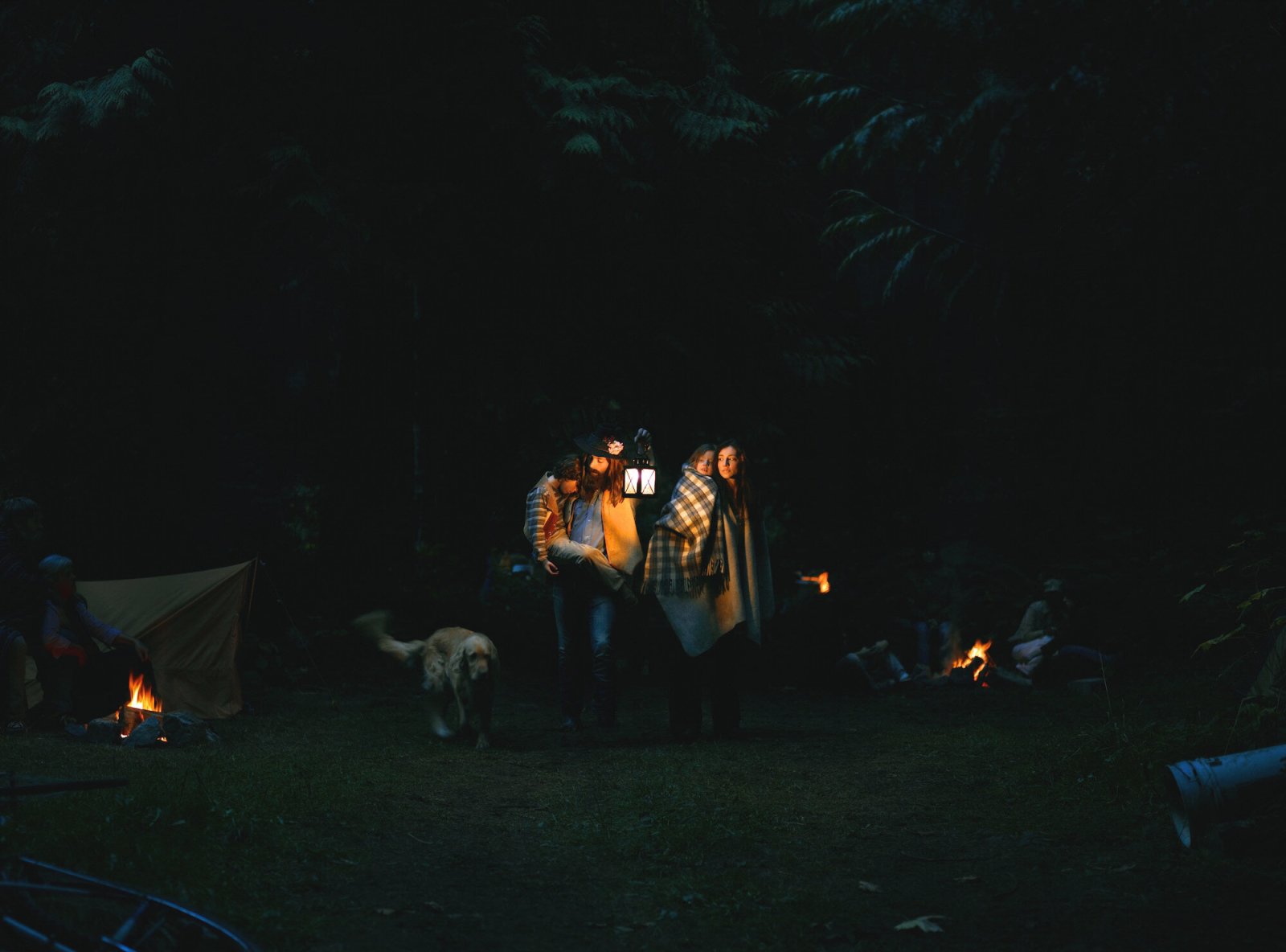 <i>Adoption</i>, 2006