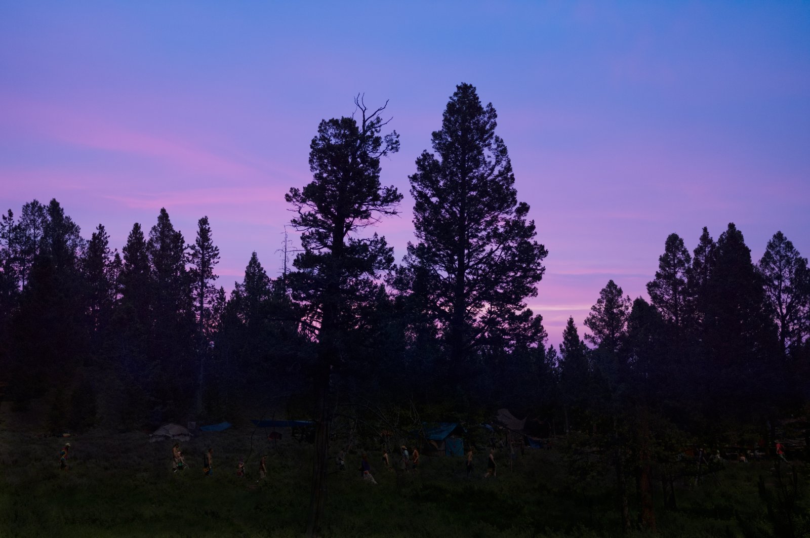 <i>The Gloaming</i>, 2014