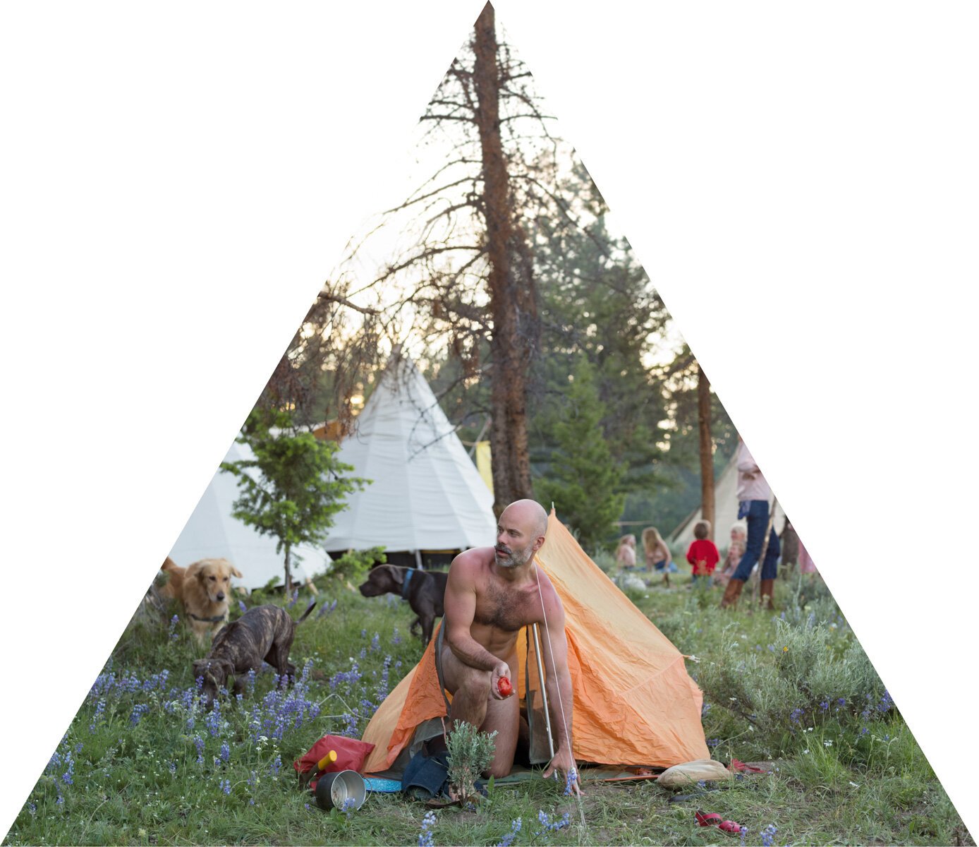 <i>Naturalist</i>, 2014