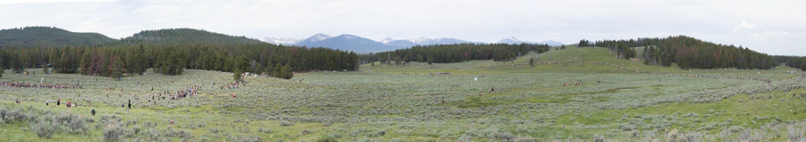 <i>The Tribe (panoramic)</i>, 2014