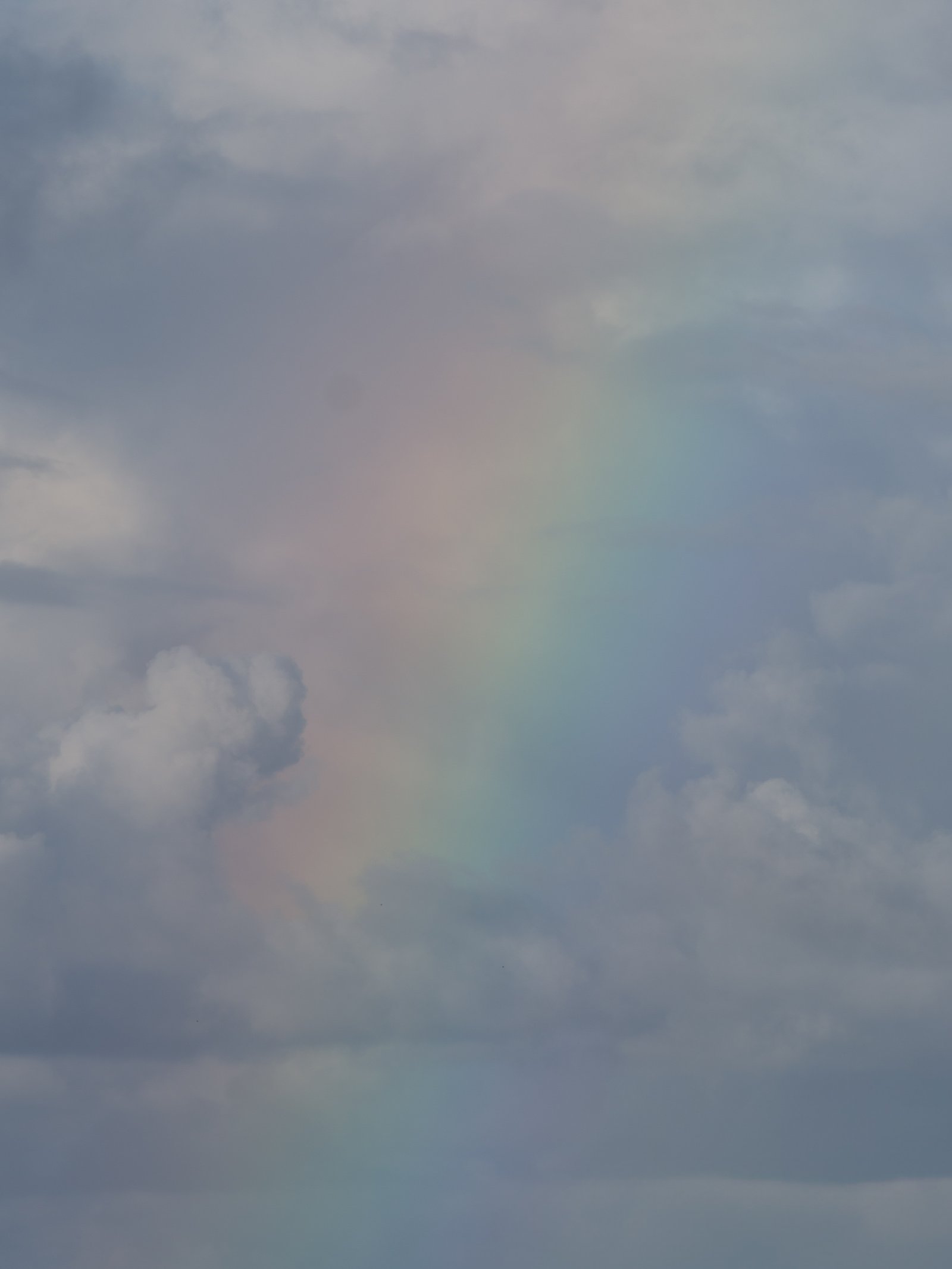 <i>Soft Rainbow</i>, Estoril, 2025