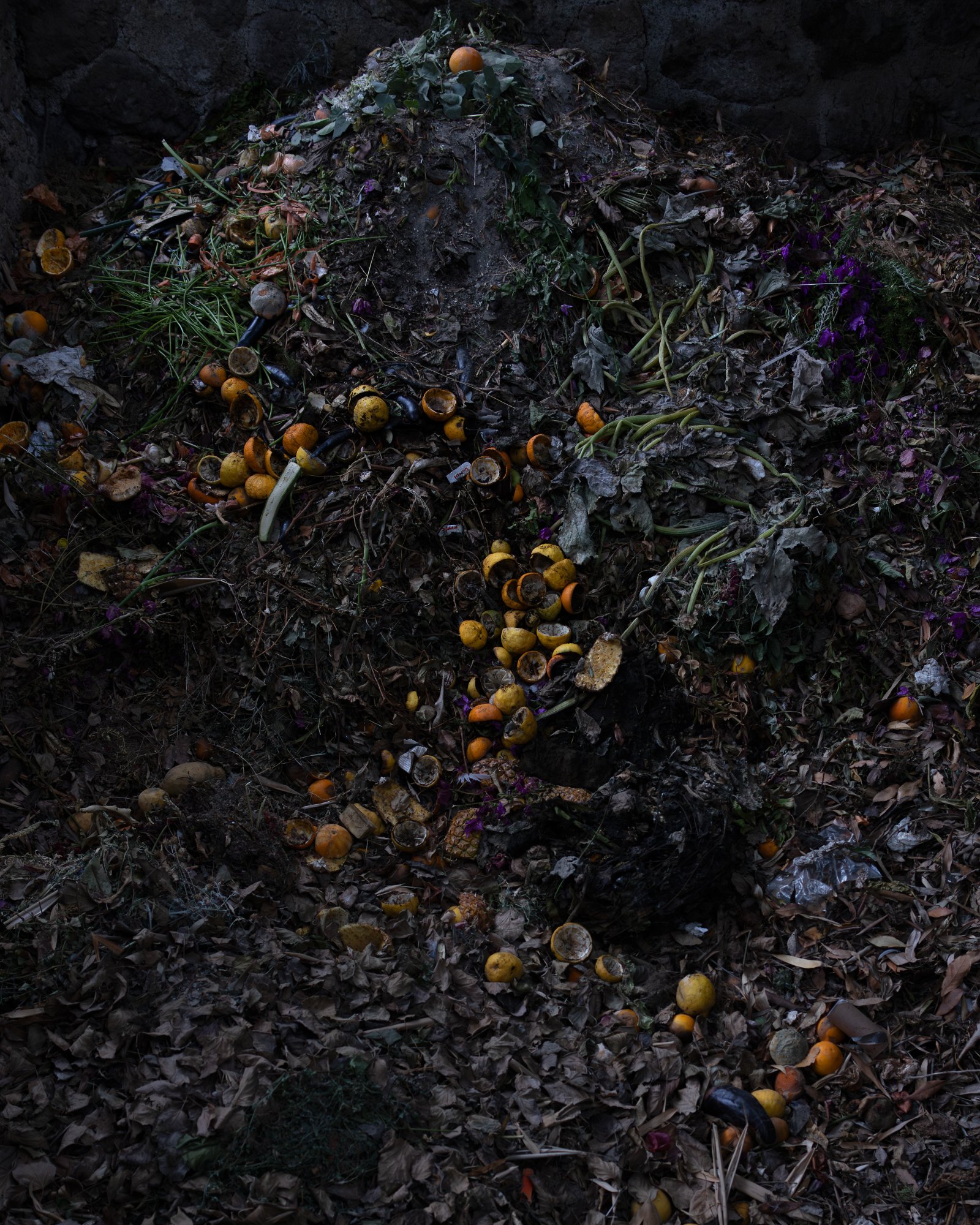 <i>Compost at Monastero di S. Maria della Consolazione</i>, Ischia, 2024