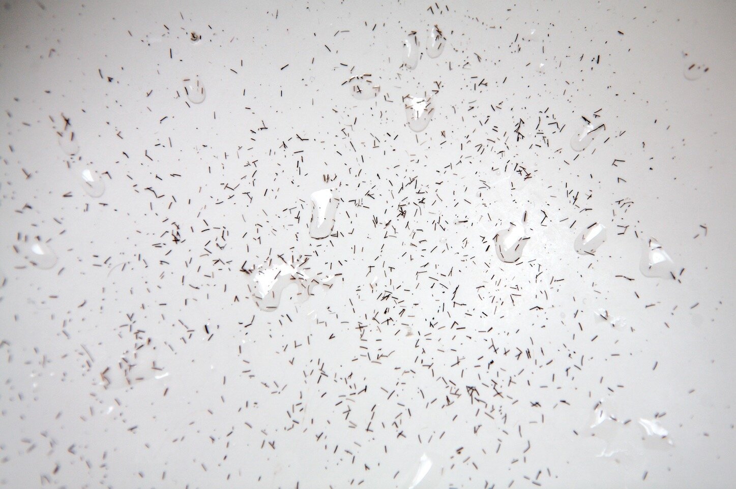 <i>Bathroom Sink</i>, Long Beach, 2004