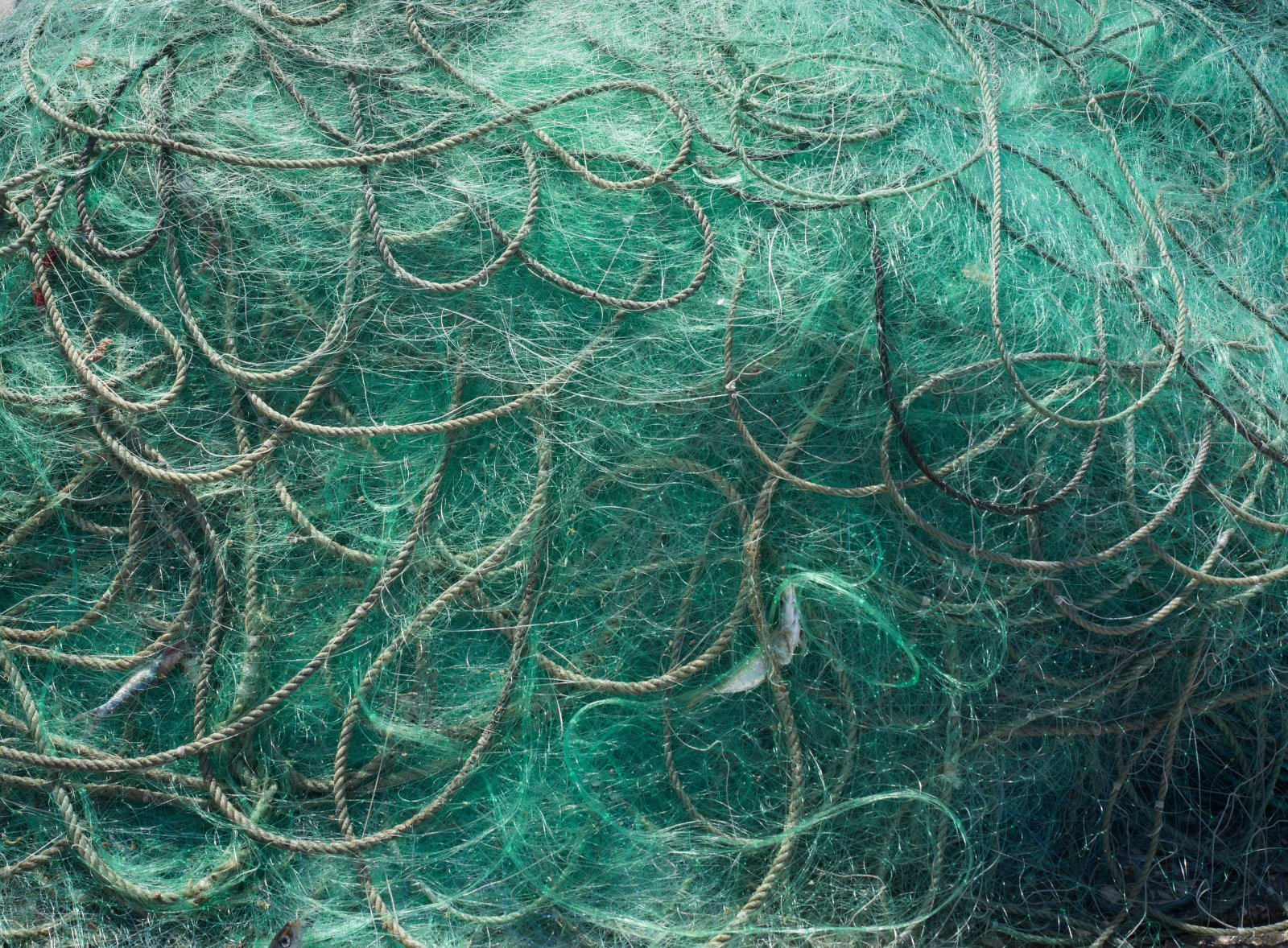 <i>Fishing Nets</i>, Ericeira, 2025