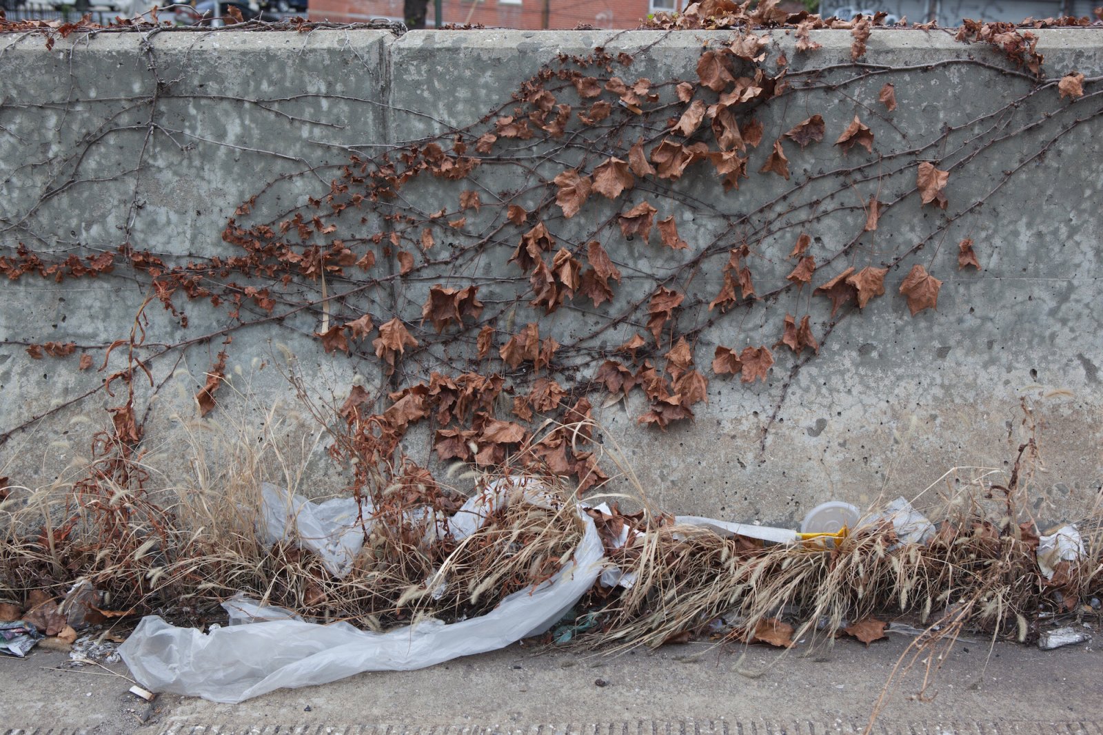 <i>BQE</i>, Brooklyn, 2010