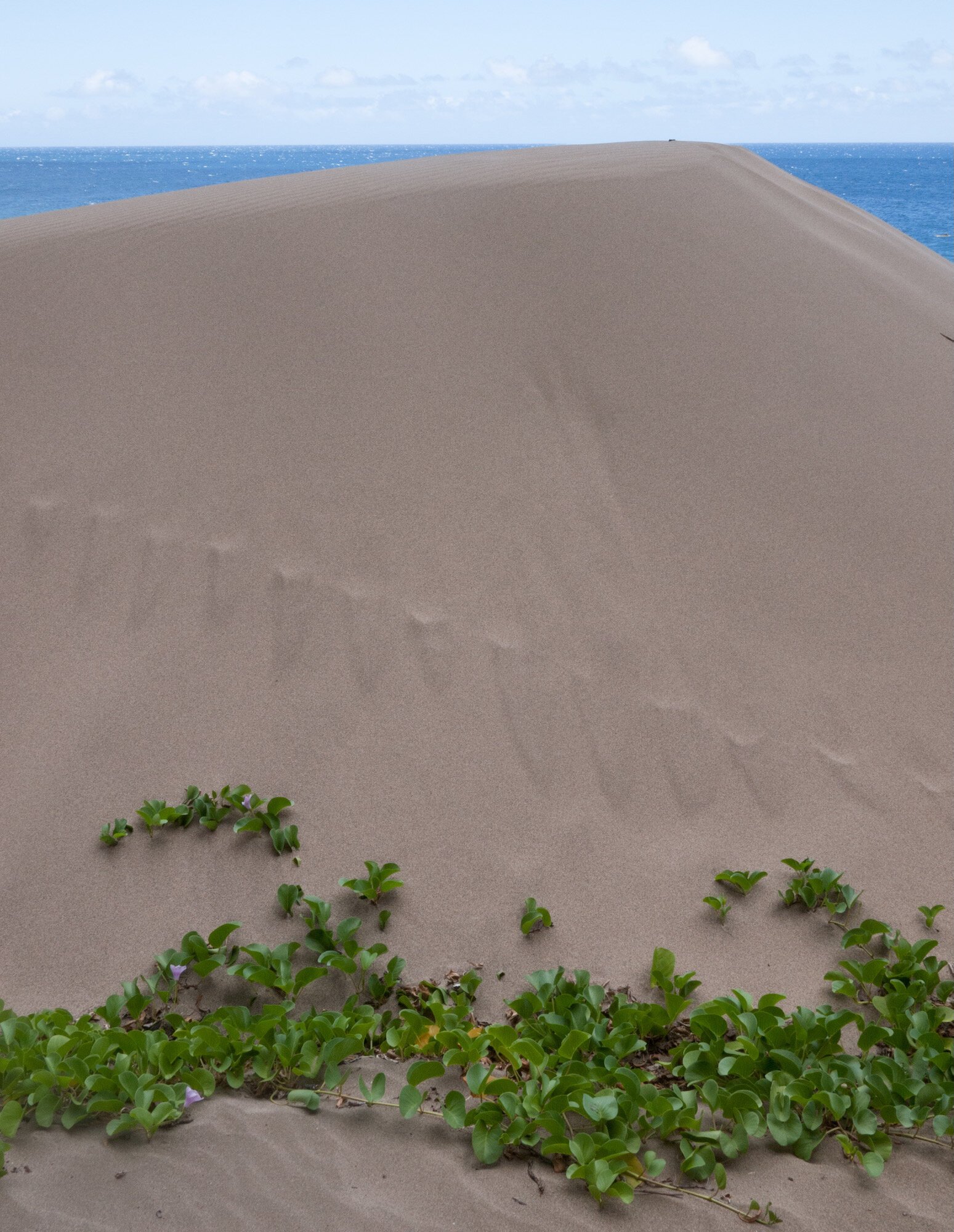 <i>Honopu</i>, Kauai, 2012