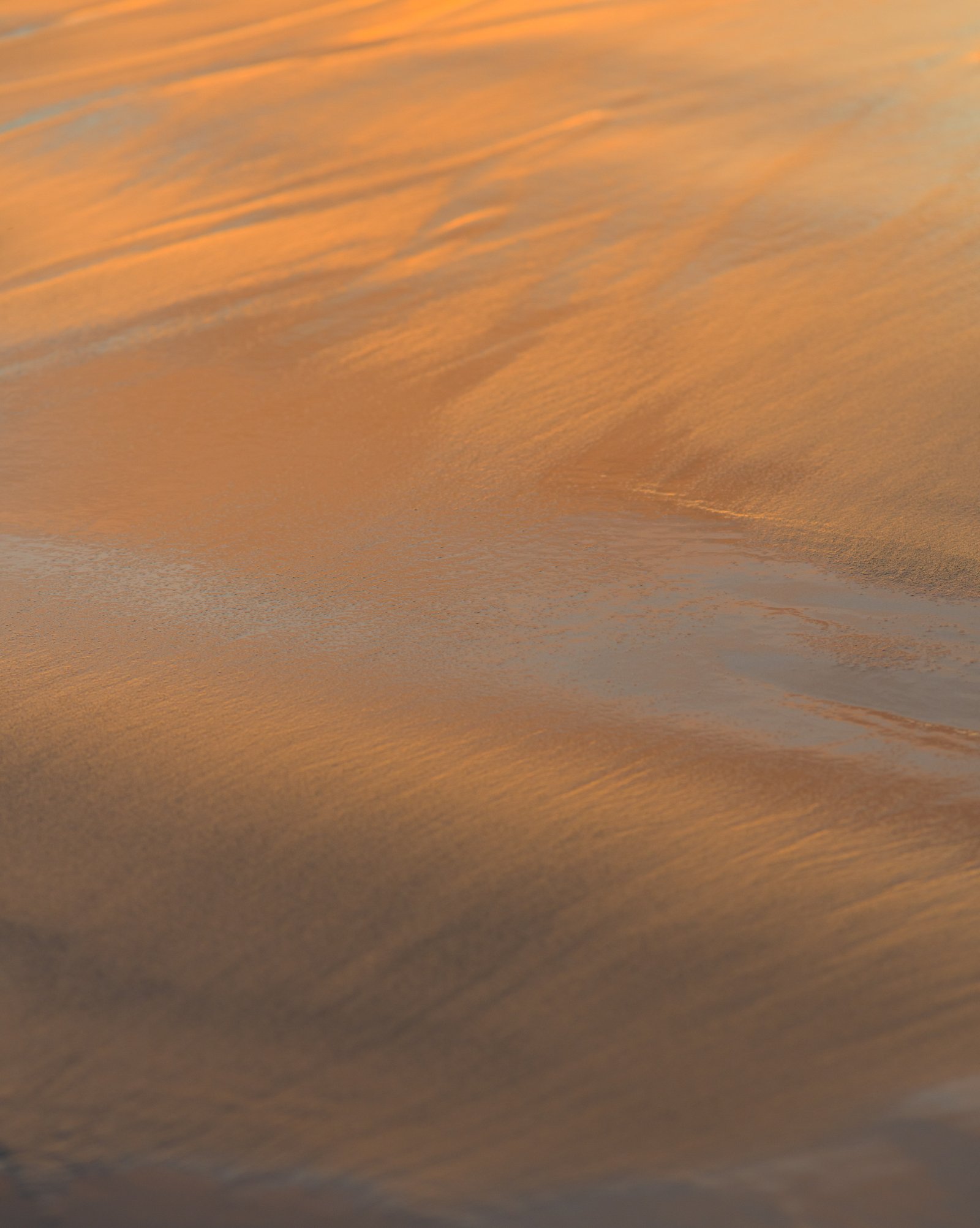 <i>Golden Earth</i>, Guincho, 2024