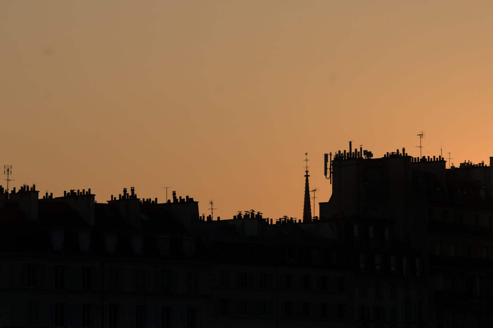 <i>Paris Roofline</i>, 2025