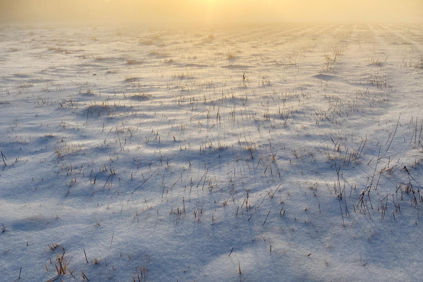 <i>Sunrise Snow</i>, Brookhaven, Winter Solstice 2020
