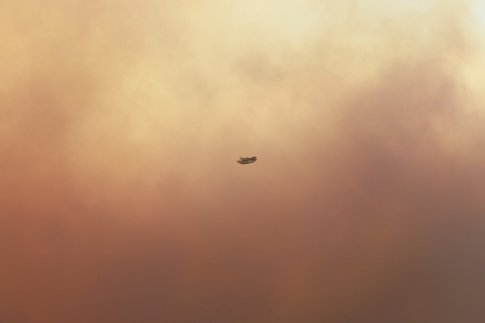 <i>Forest Fire Smoke and Bombeiros Plane</i>, Estoril, 2023