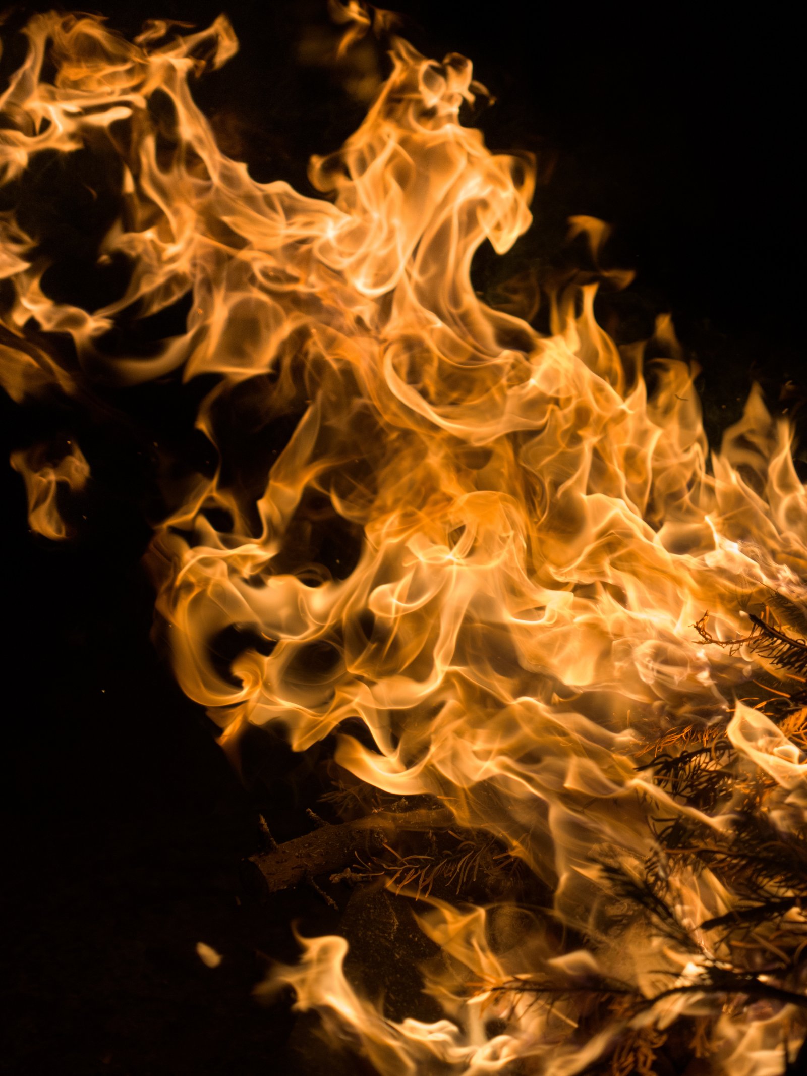 Burning the Christmas Tree on Epiphany 2