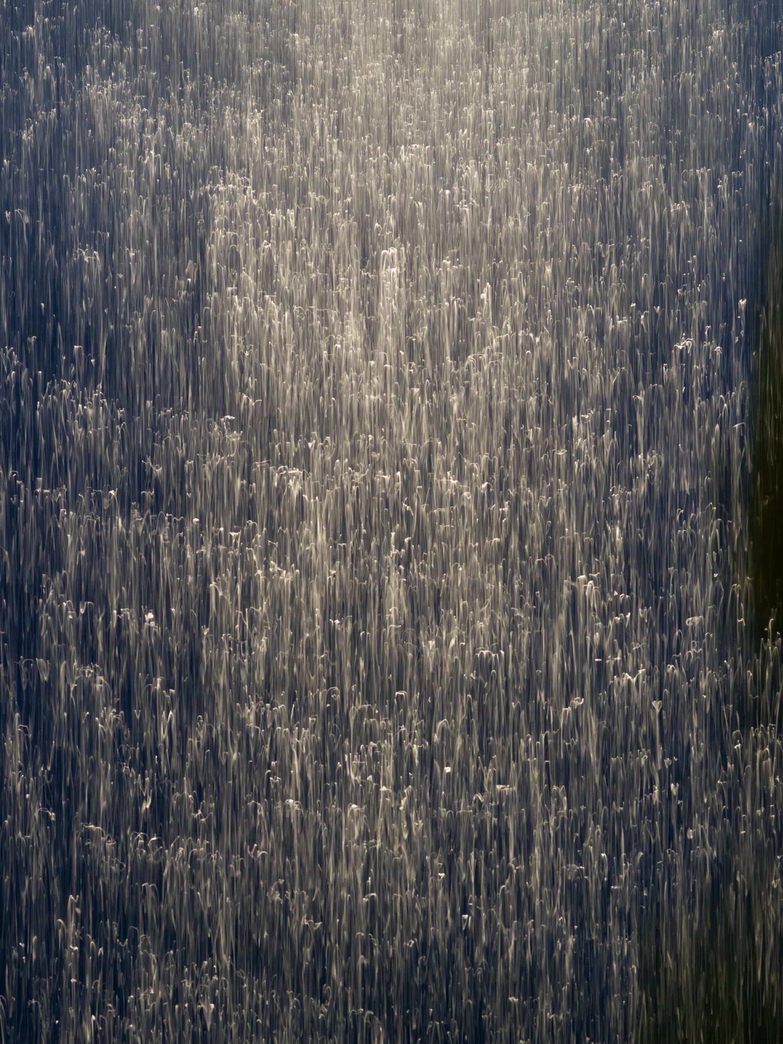 <i>Moonlight on the Bay</i>, Mallorca, 2025