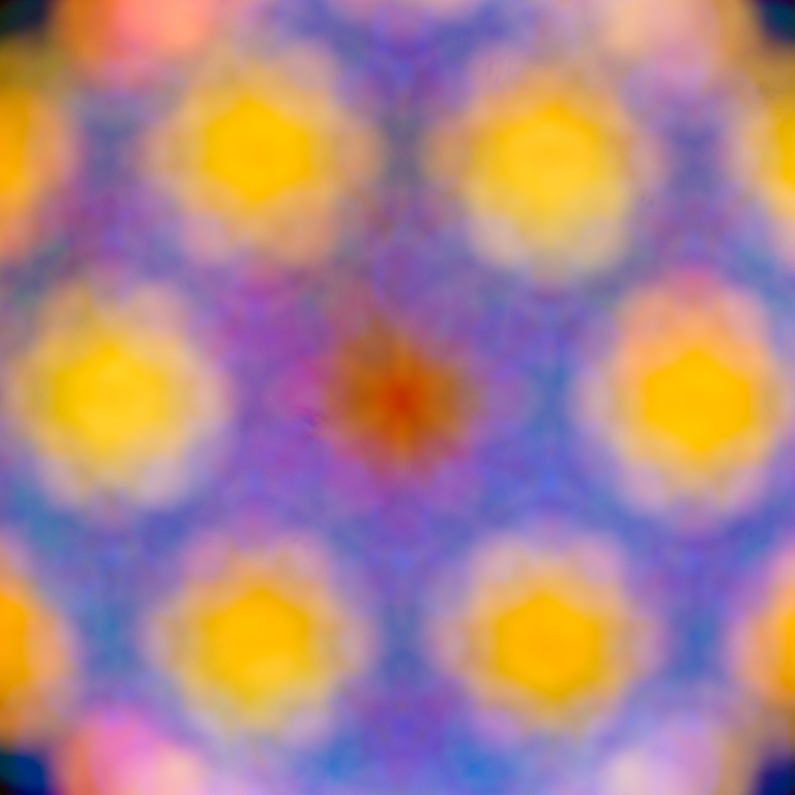 <i>Palma Cathedral</i>, 2025