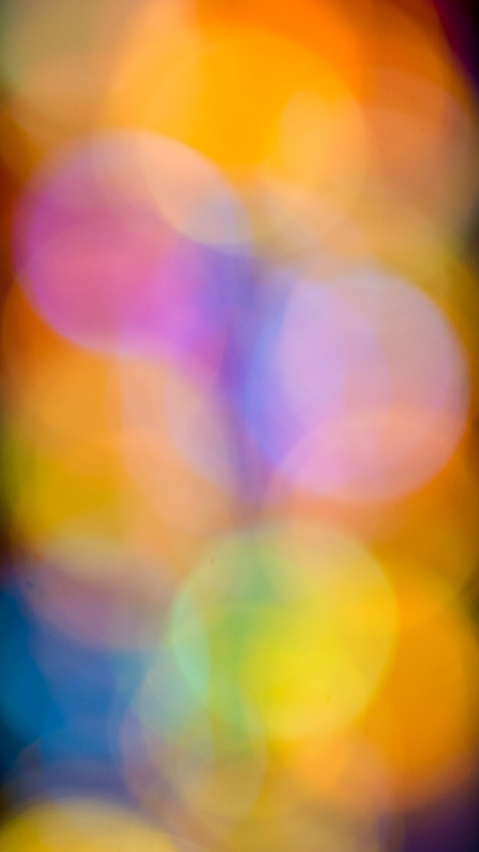 <i>Light in Batalha</i>, 2025