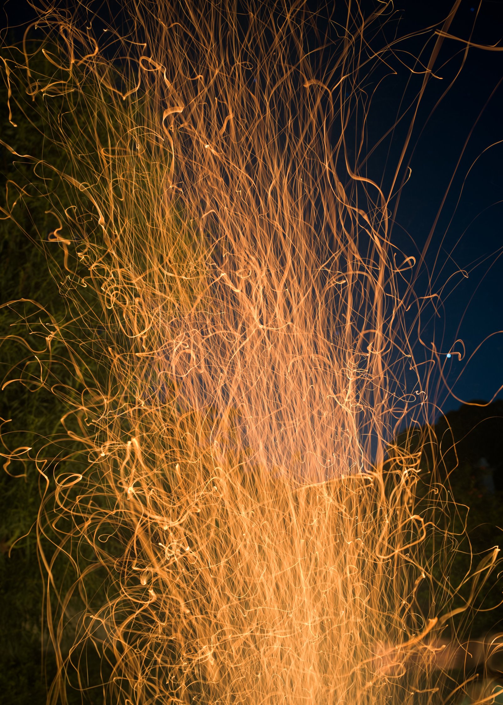 <i>Burning the Christmas Tree</i>, Portugal, 2026