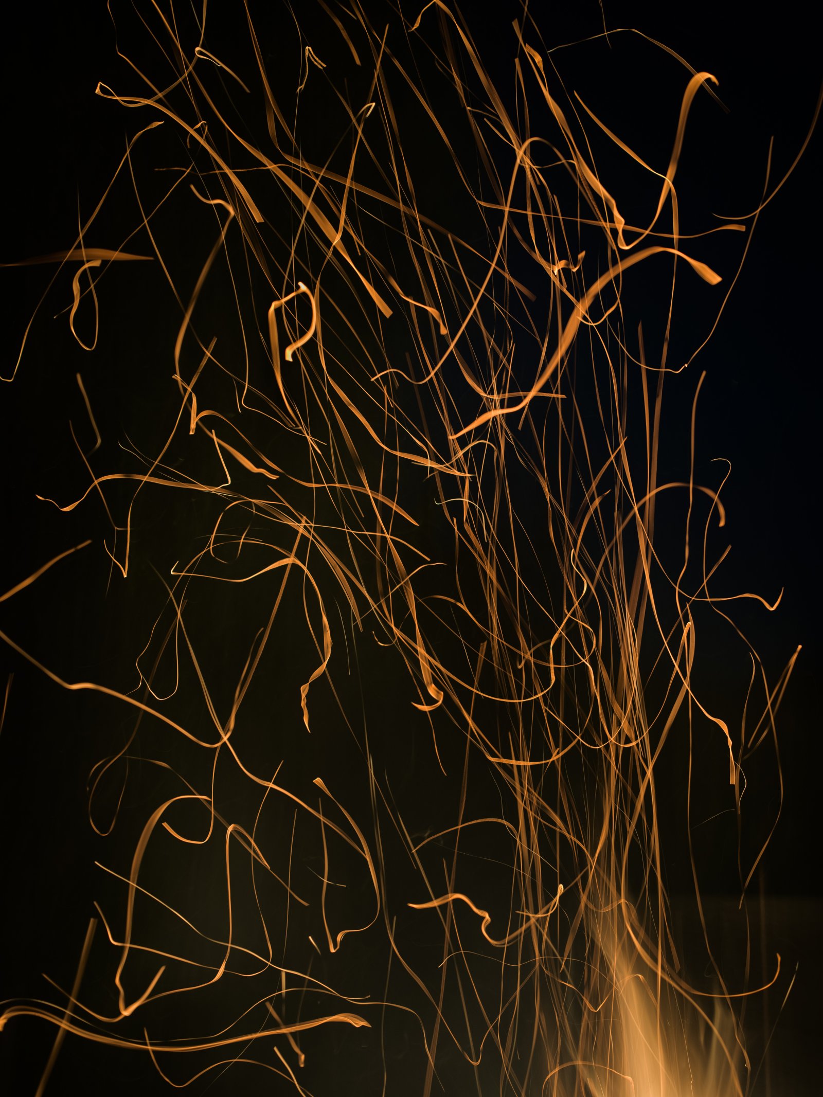 <i>Epiphany</i>, Portugal, 2026