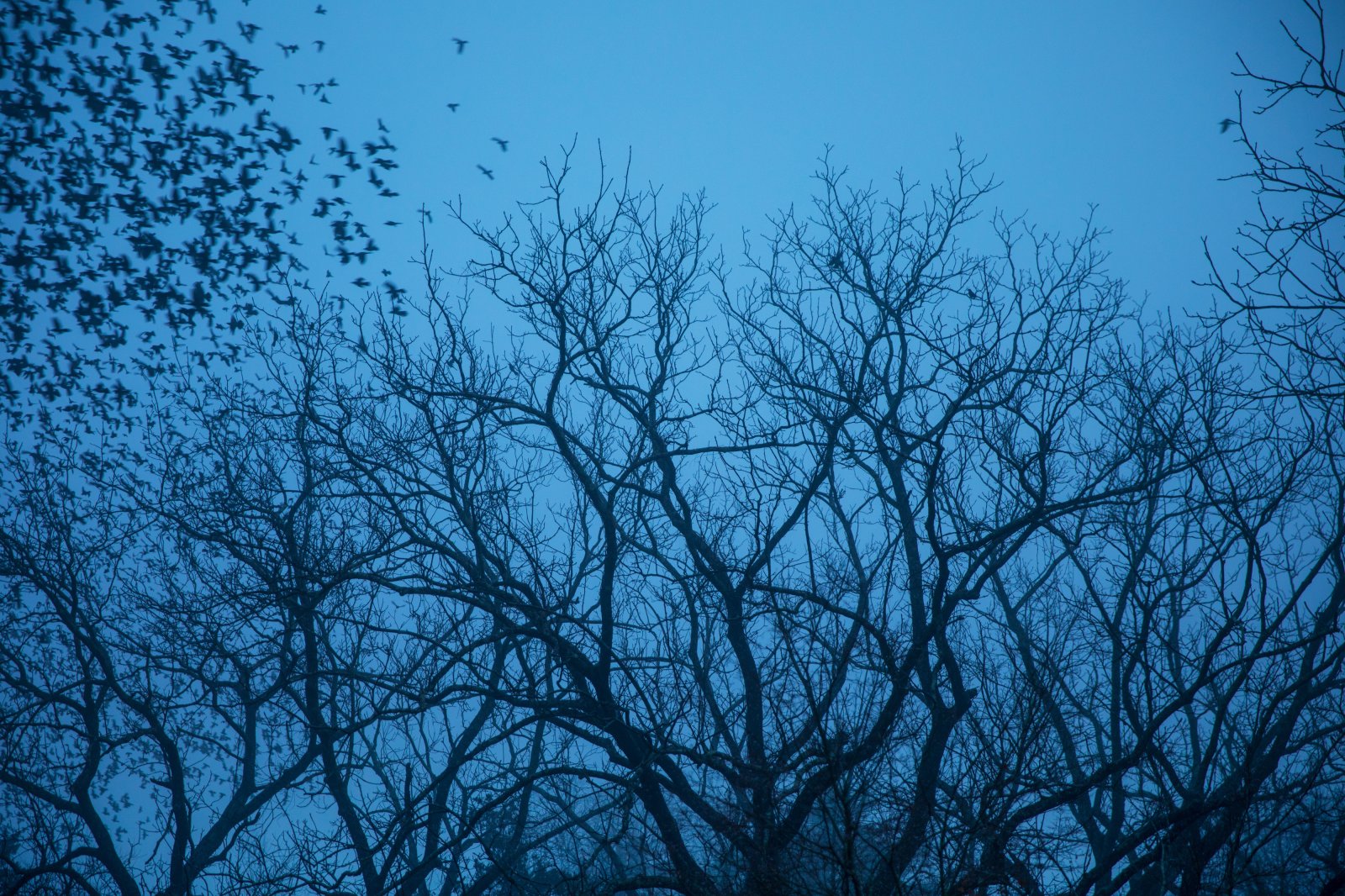 <i>Leaving (3)</i>, Brookhaven, 2018