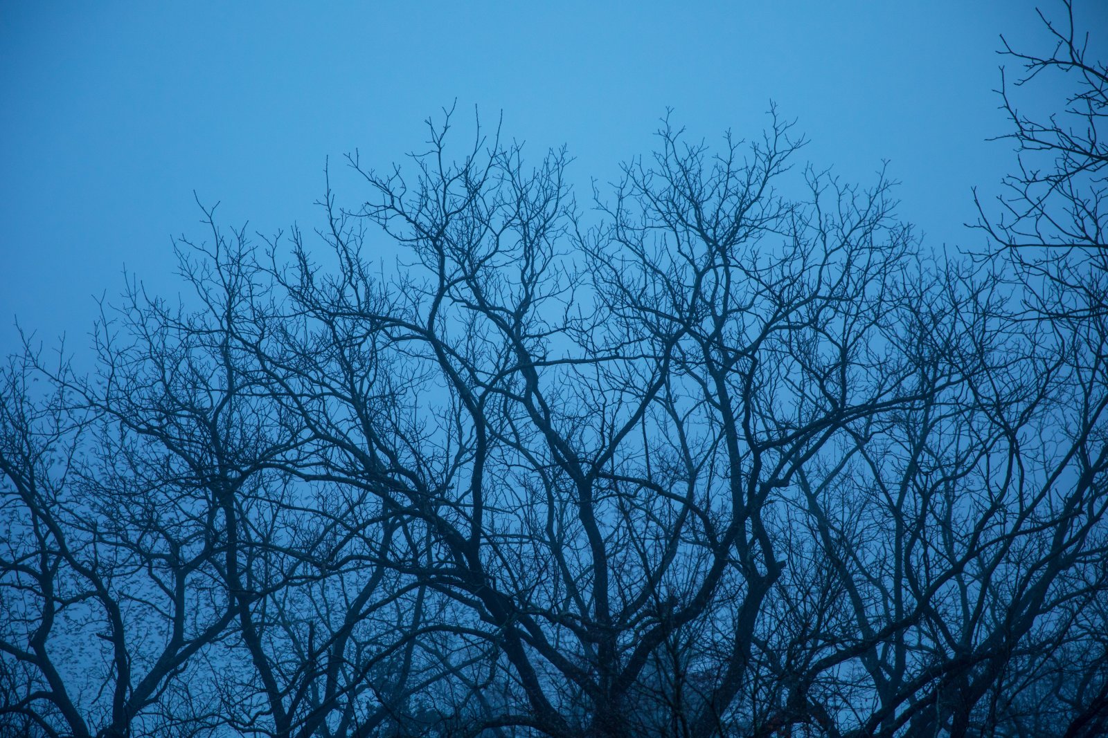 <i>Leaving (4)</i>, Brookhaven, 2018