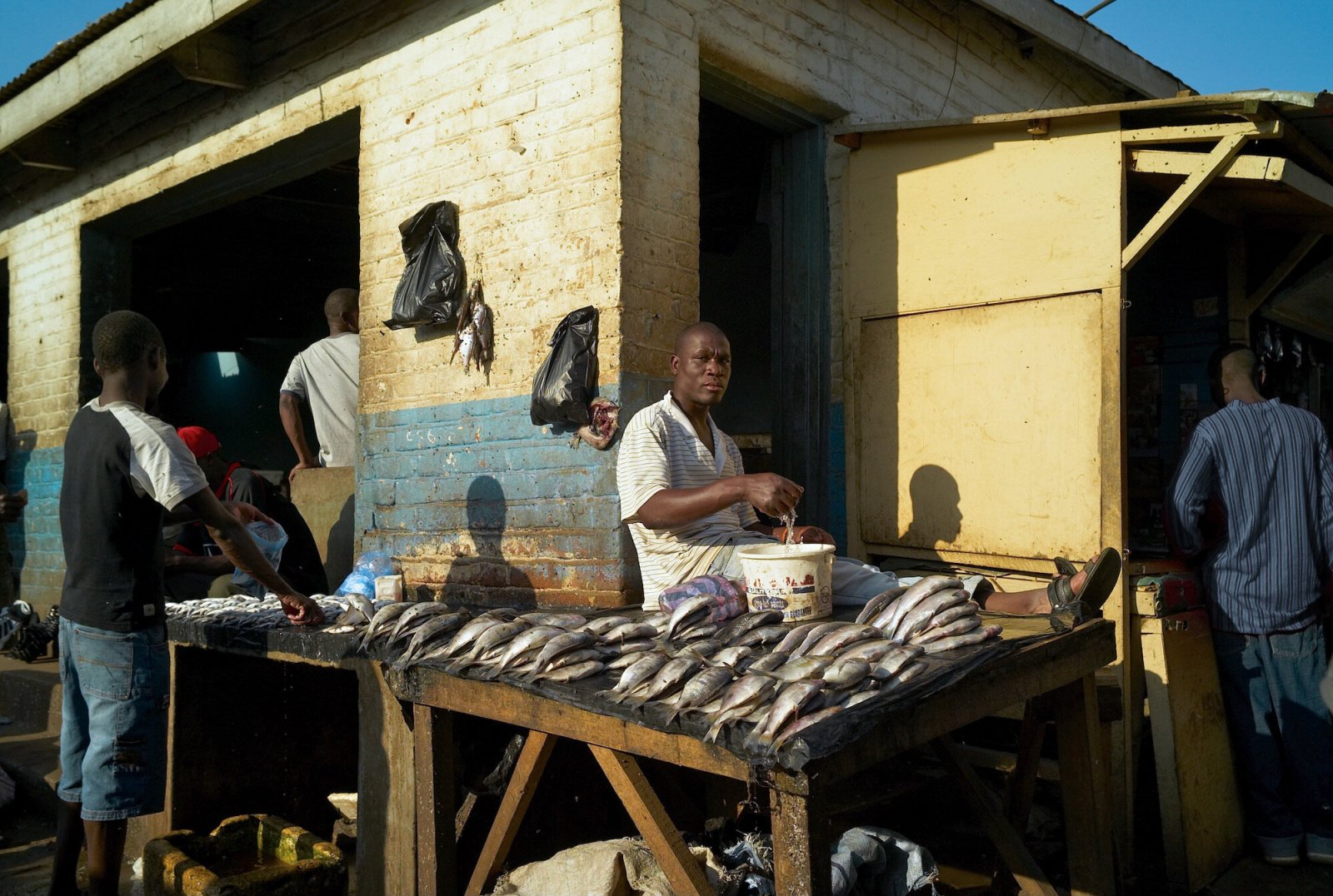 <i>Fishmonger</i>, Lilongwe, Malawi, 2006
