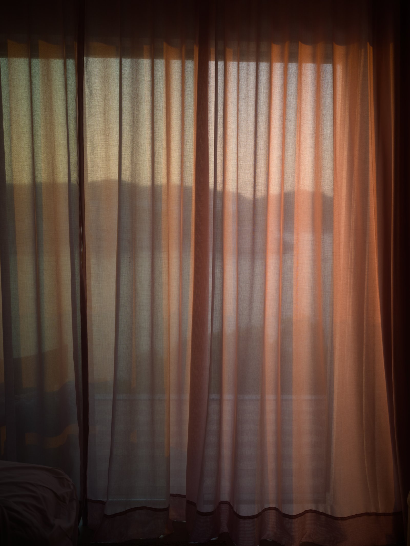 <i>Morning Rose</i>, Mallorca, 2025