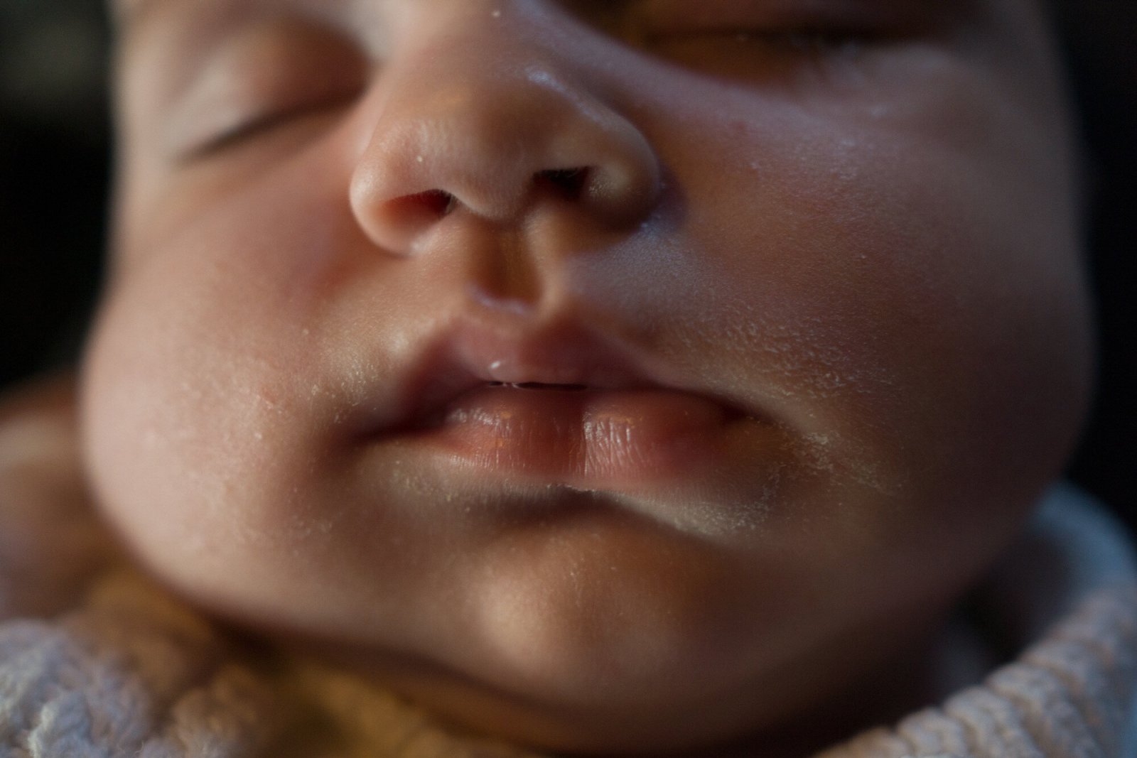 <i>Milkdrunk</i>, Brooklyn, 2012