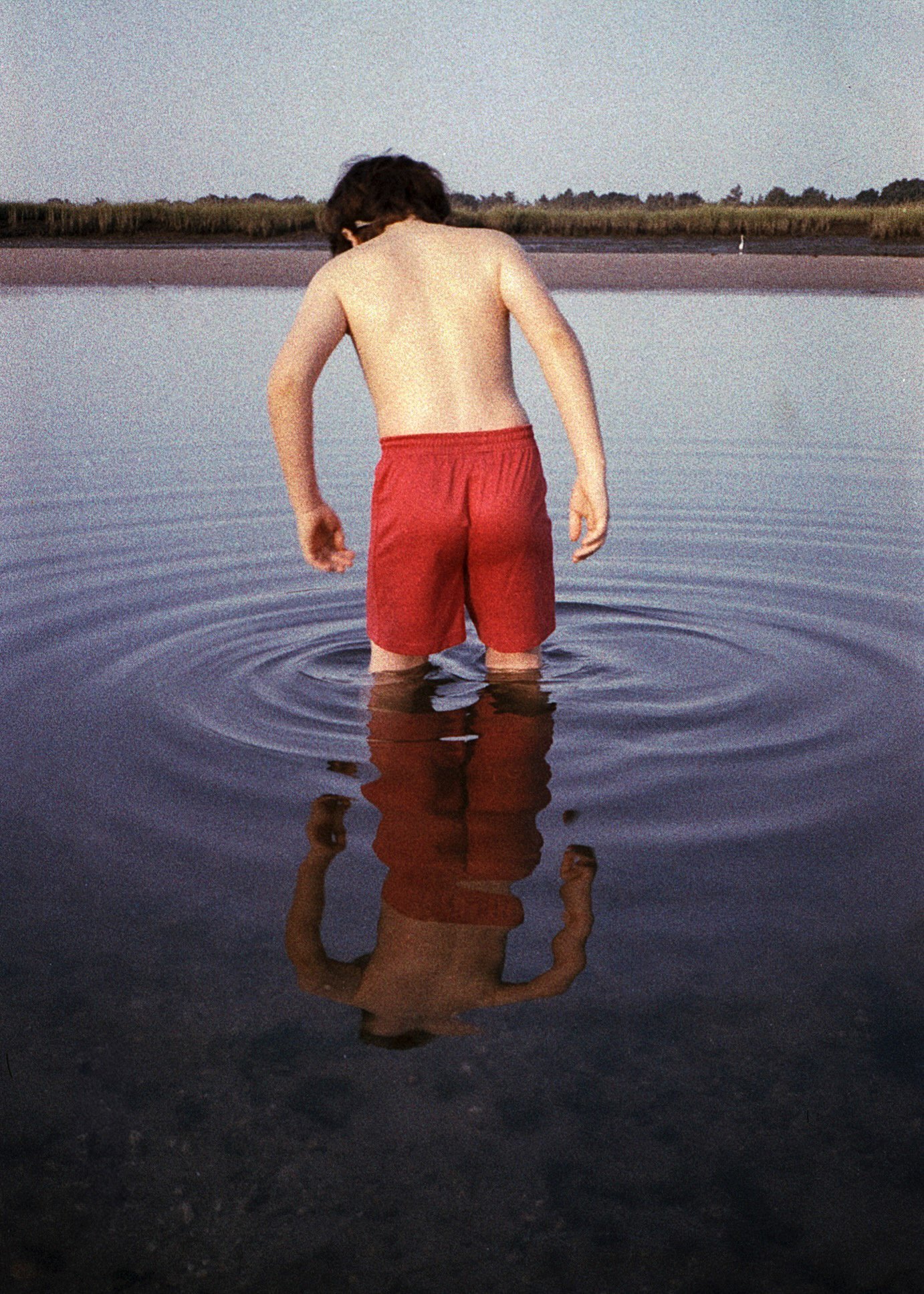 <i>Morning Swim</i>, Old Field, 2024