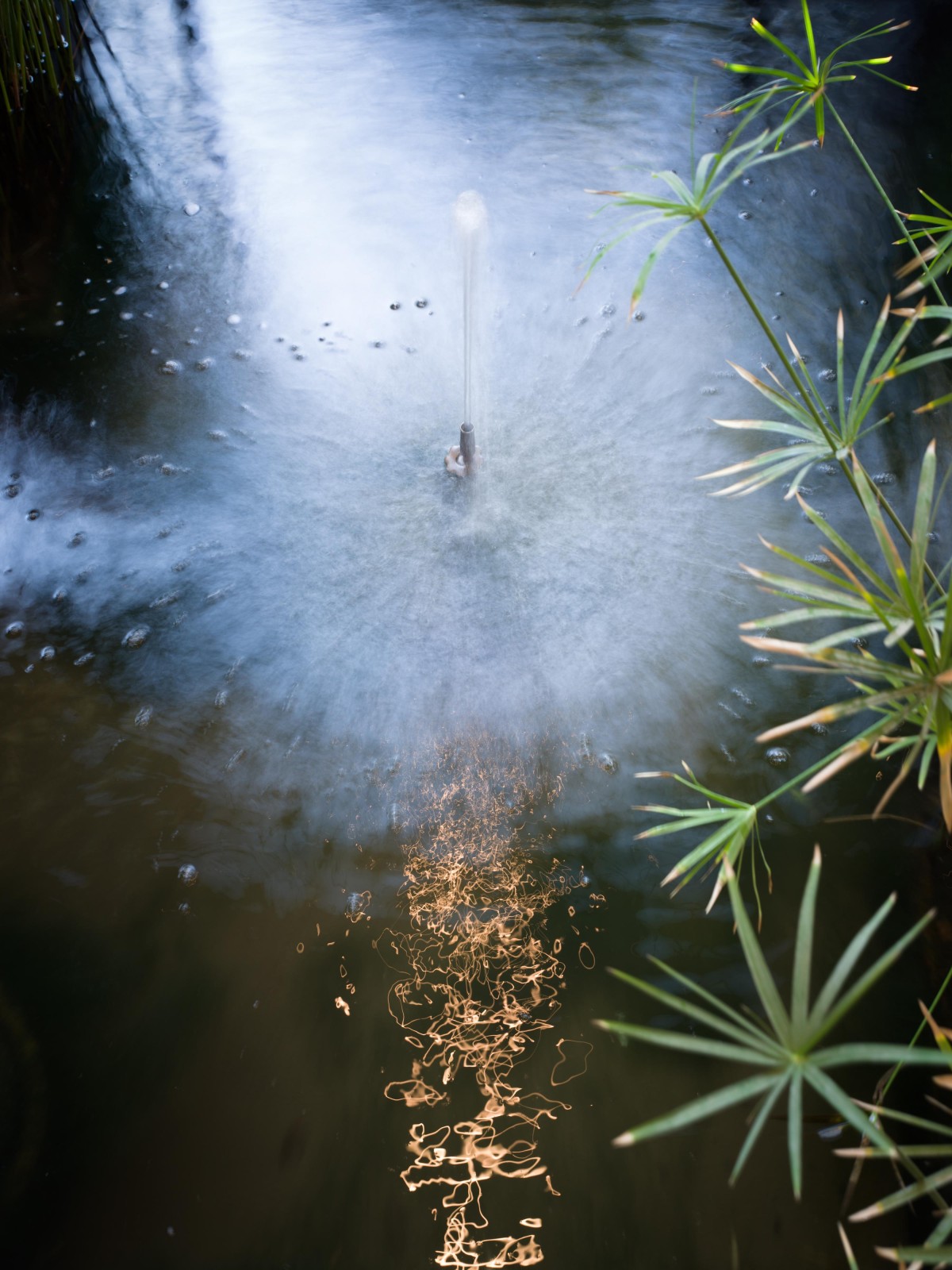 <i>Living Water</i>, Marakech, 2026
